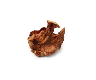 Photo of One dried chanterelle mushroom isolated on white