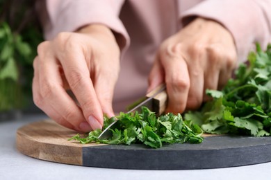 Photo of Woman cutting fresh green cilantro at light table, closeup