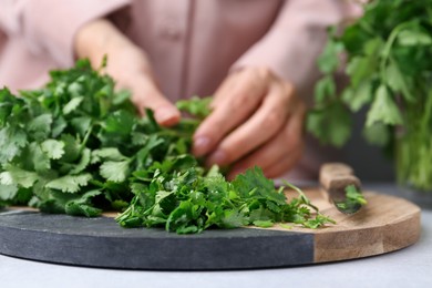 Photo of Woman with fresh green cilantro at light table, closeup