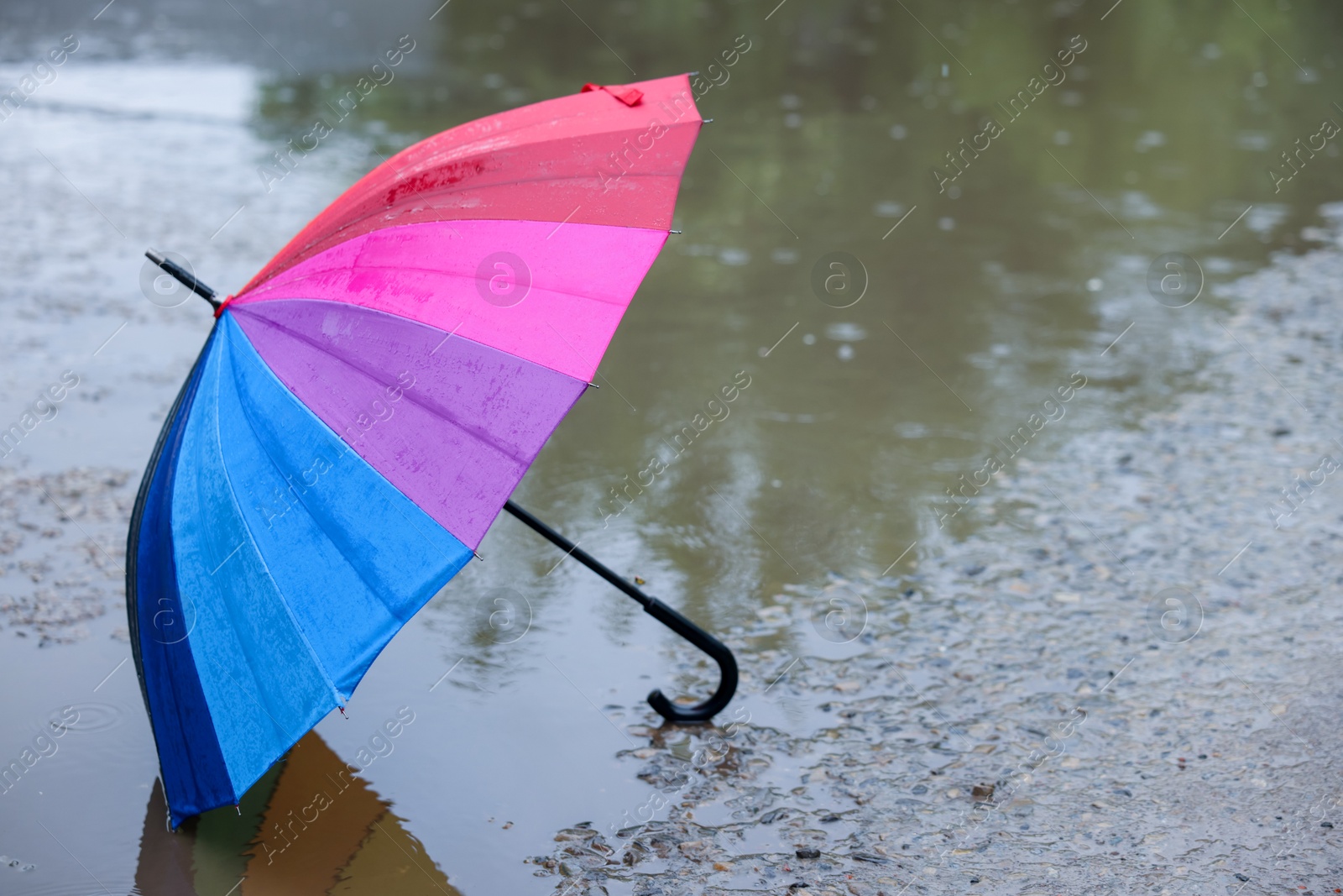 Colorful umbrella on wet asphalt under heavy rain. Space for text Photo of Colorful umbrella on wet asphalt under heavy rain. Space for text