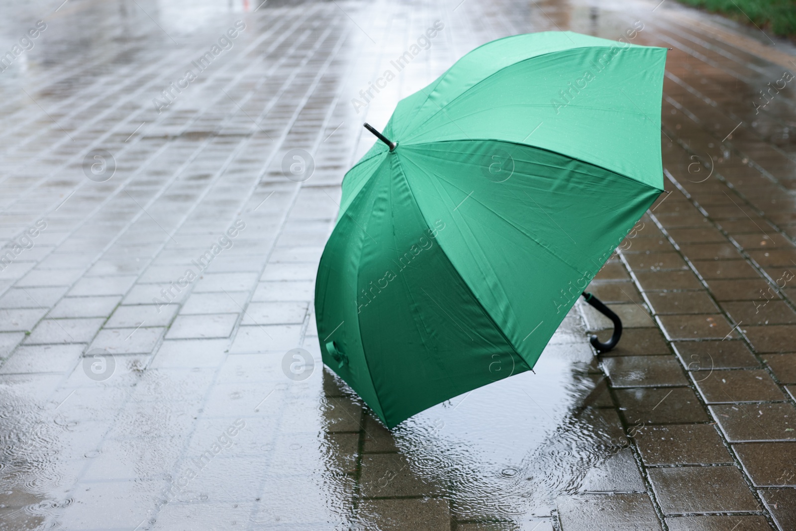 Green umbrella on wet asphalt under heavy rain, space for text Photo of Green umbrella on wet asphalt under heavy rain, space for text