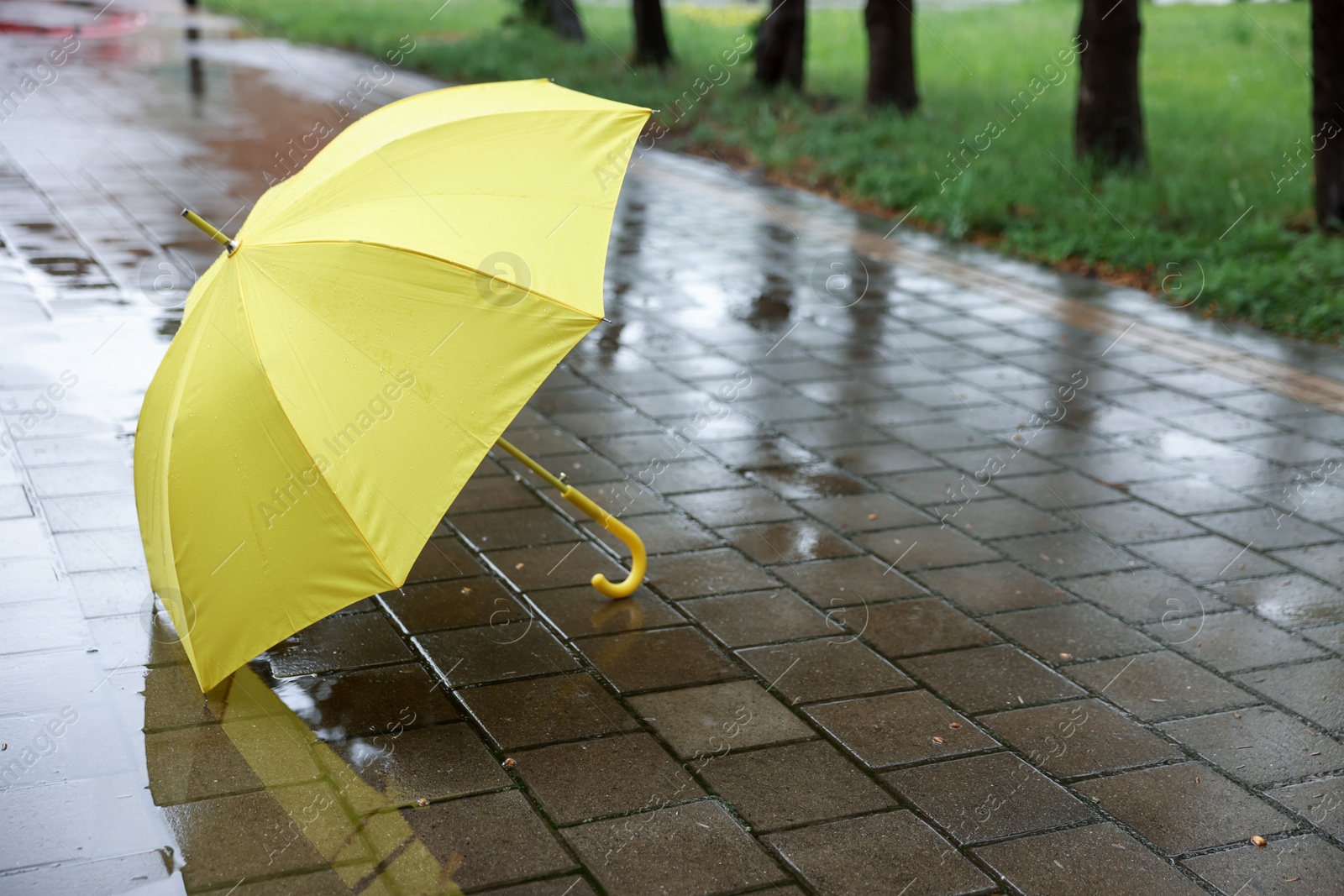 Yellow umbrella on wet asphalt outdoors, space for text Photo of Yellow umbrella on wet asphalt outdoors, space for text