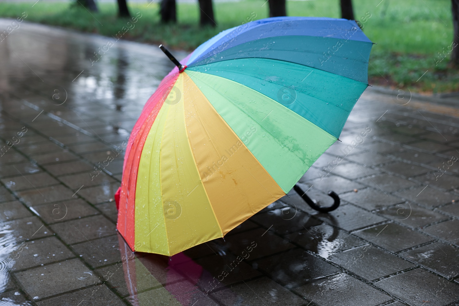 Colorful umbrella on wet asphalt outdoors, closeup Photo of Colorful umbrella on wet asphalt outdoors, closeup