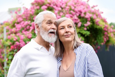 Photo of Lovely senior couple near bush of pink roses outdoors