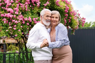 Photo of Lovely senior couple dancing near bush of pink roses outdoors