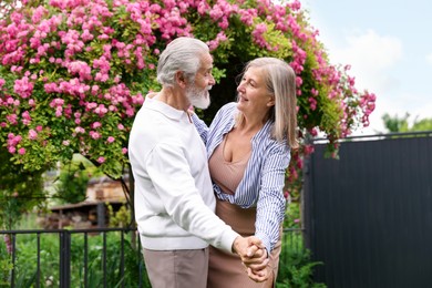 Photo of Lovely senior couple dancing near bush of pink roses outdoors