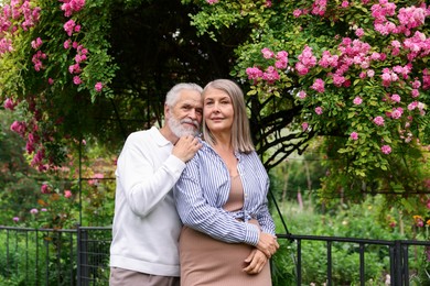 Photo of Lovely senior couple near bush of pink roses outdoors