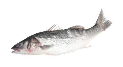 Photo of Fresh raw seabass fish isolated on white. Organic seafood