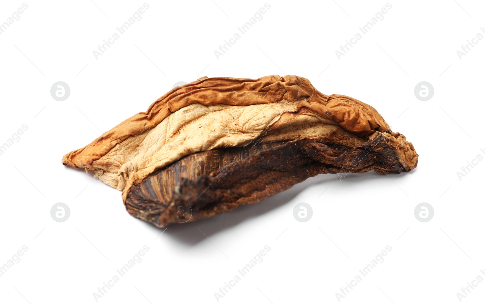 Photo of Piece of dried porcini mushroom isolated on white