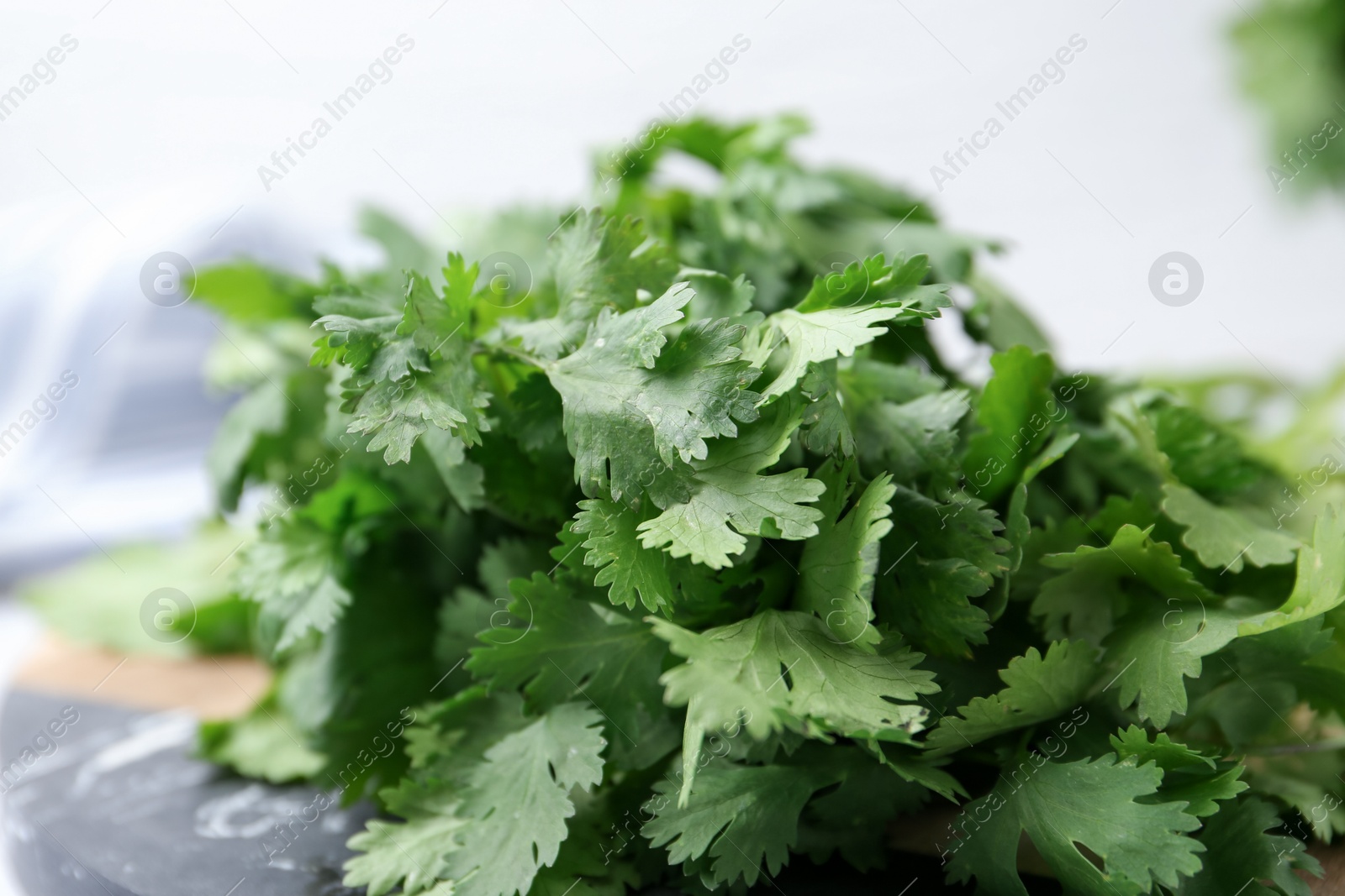 Photo of Fresh green cilantro on table, closeup view
