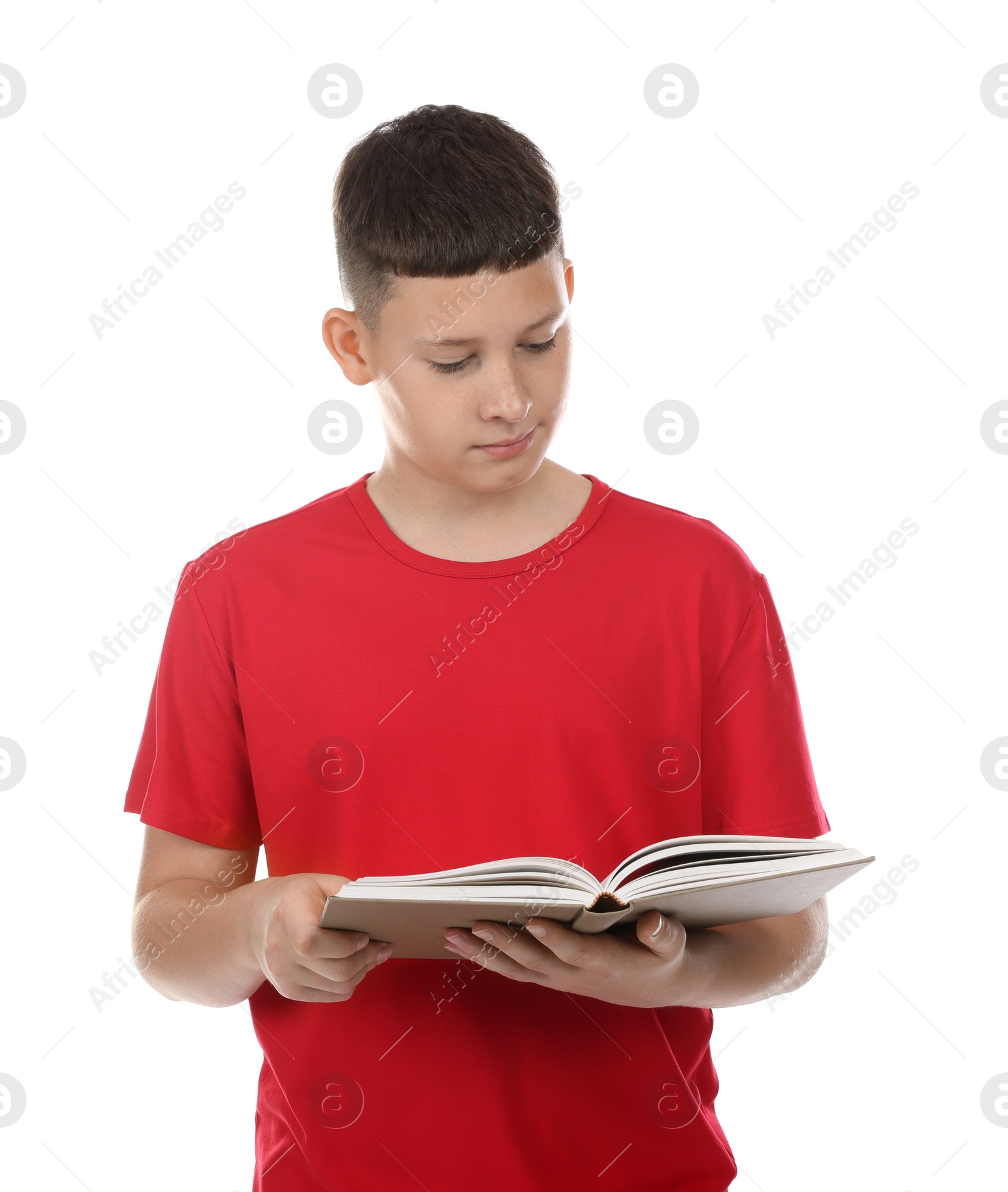Teenage boy reading book on white background Photo of Teenage boy reading book on white background