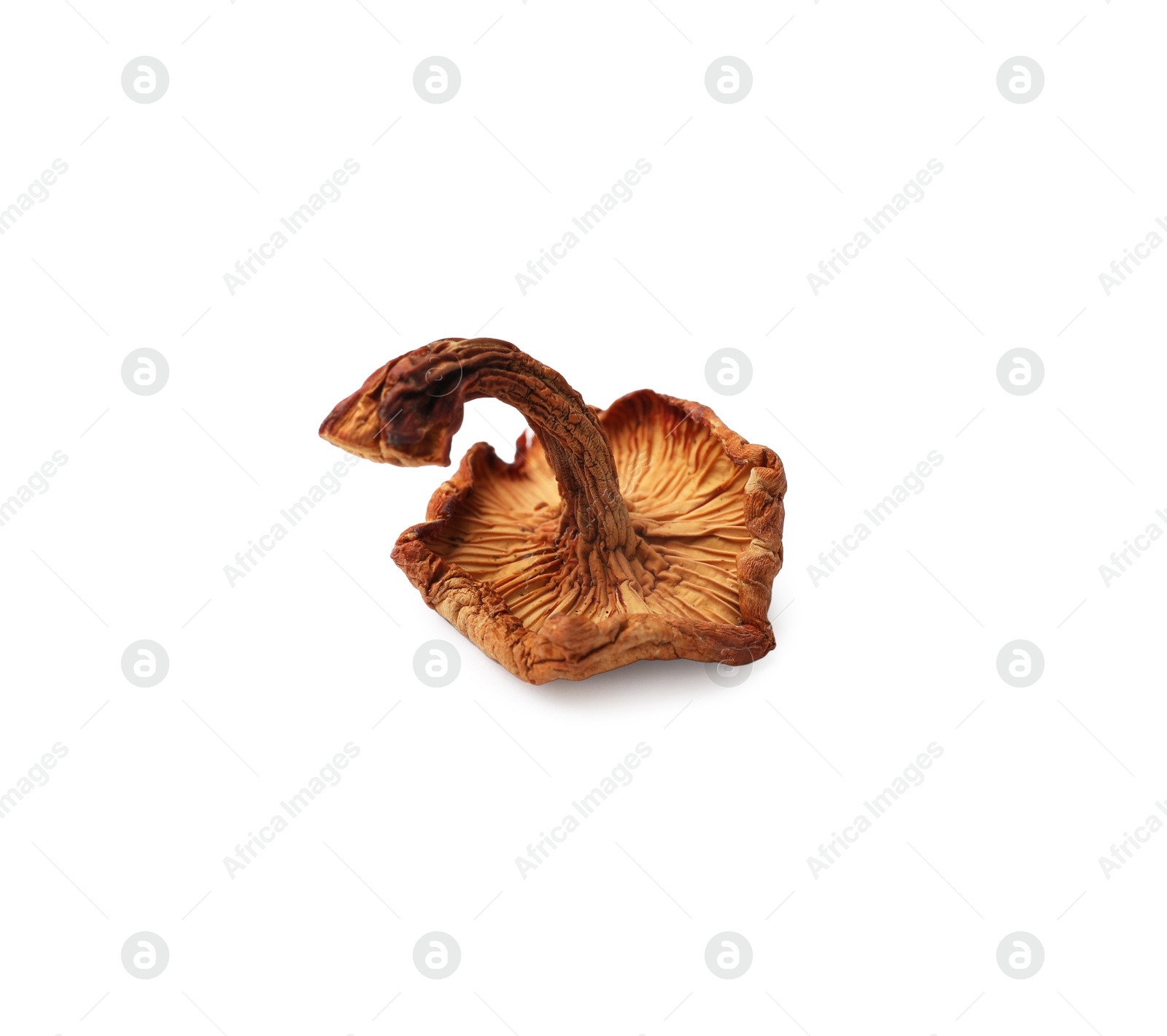 Photo of One dried chanterelle mushroom isolated on white