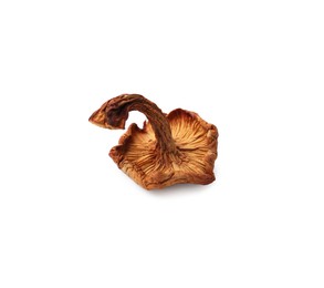 Photo of One dried chanterelle mushroom isolated on white