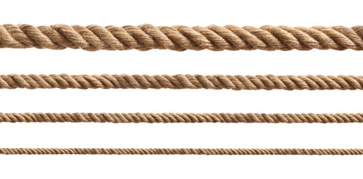 Image of Ropes of different thickness isolated on white, set