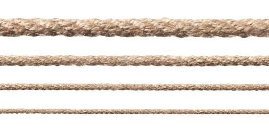 Image of Ropes of different thickness isolated on white, set