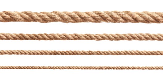 Image of Ropes of different thickness isolated on white, set