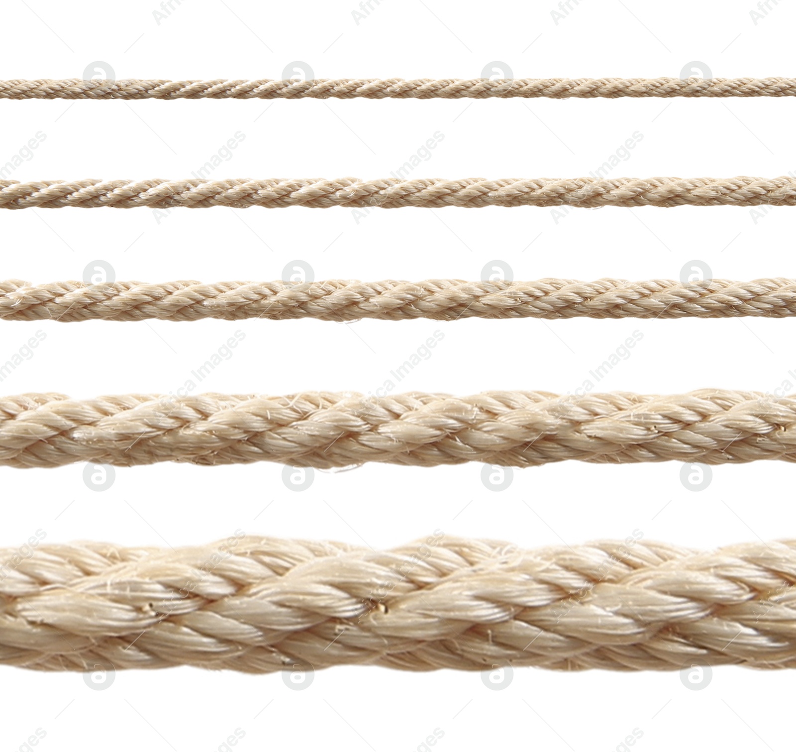 Image of Ropes of different thickness isolated on white, set