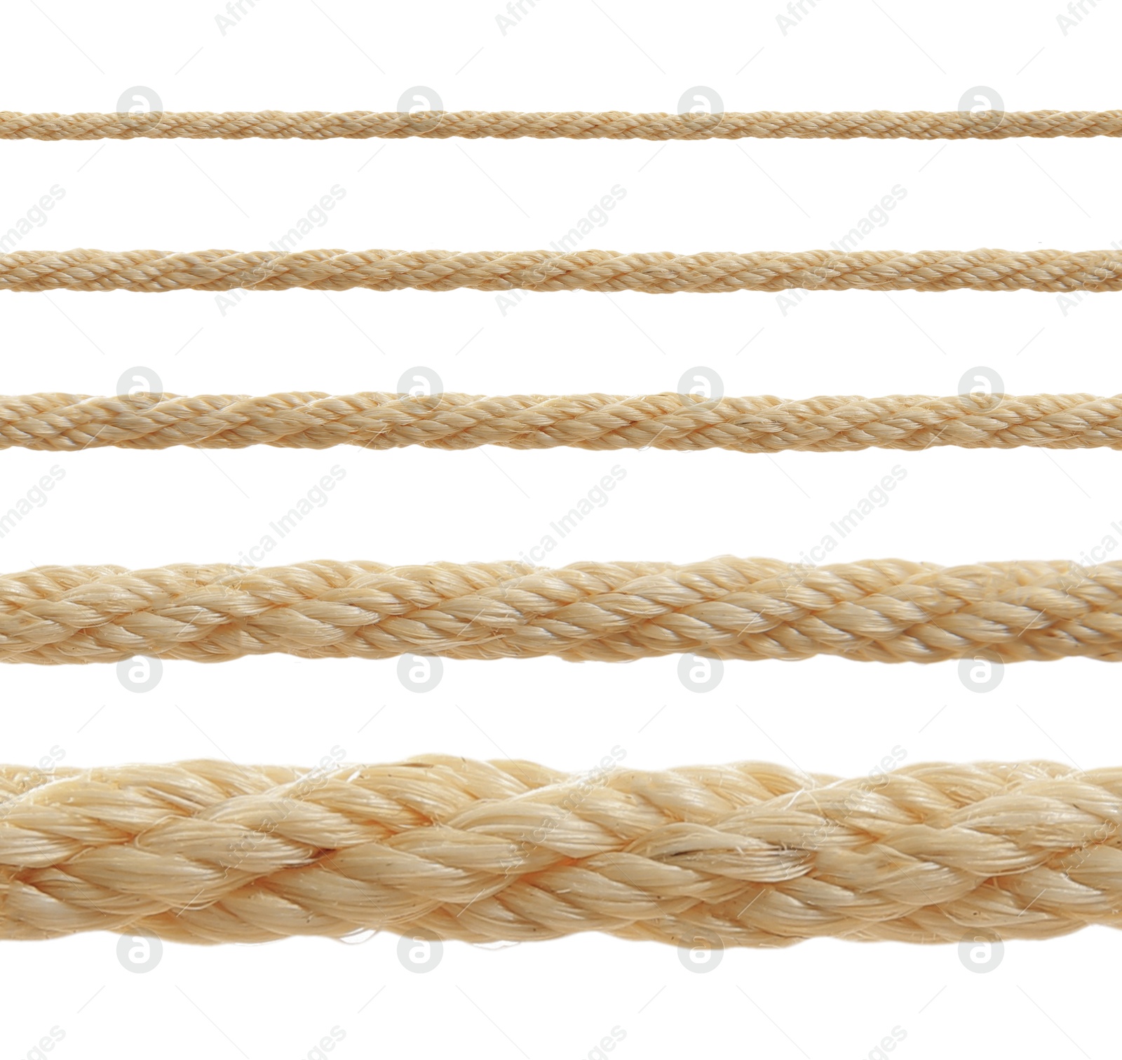 Image of Ropes of different thickness isolated on white, set