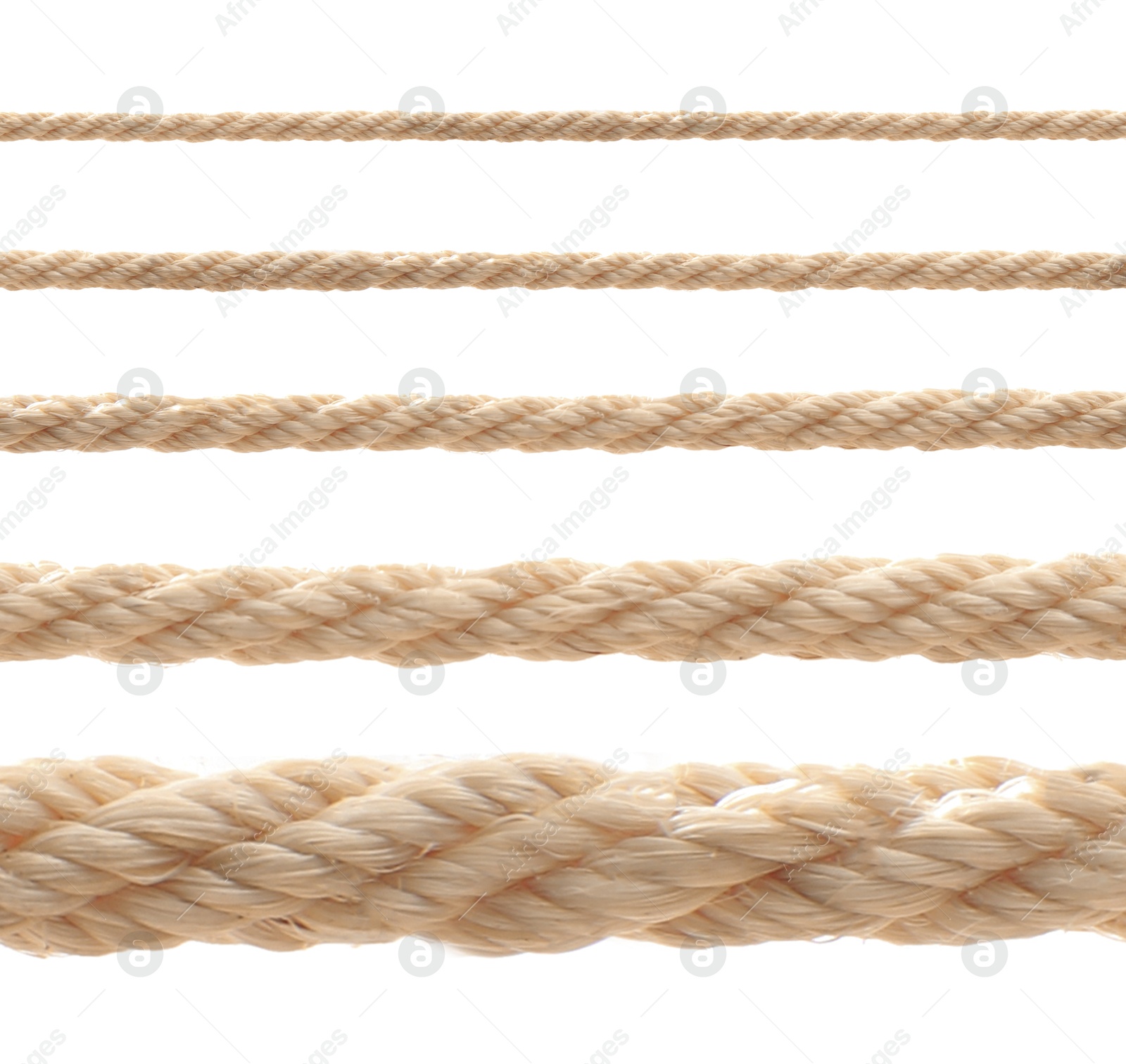 Image of Ropes of different thickness isolated on white, set