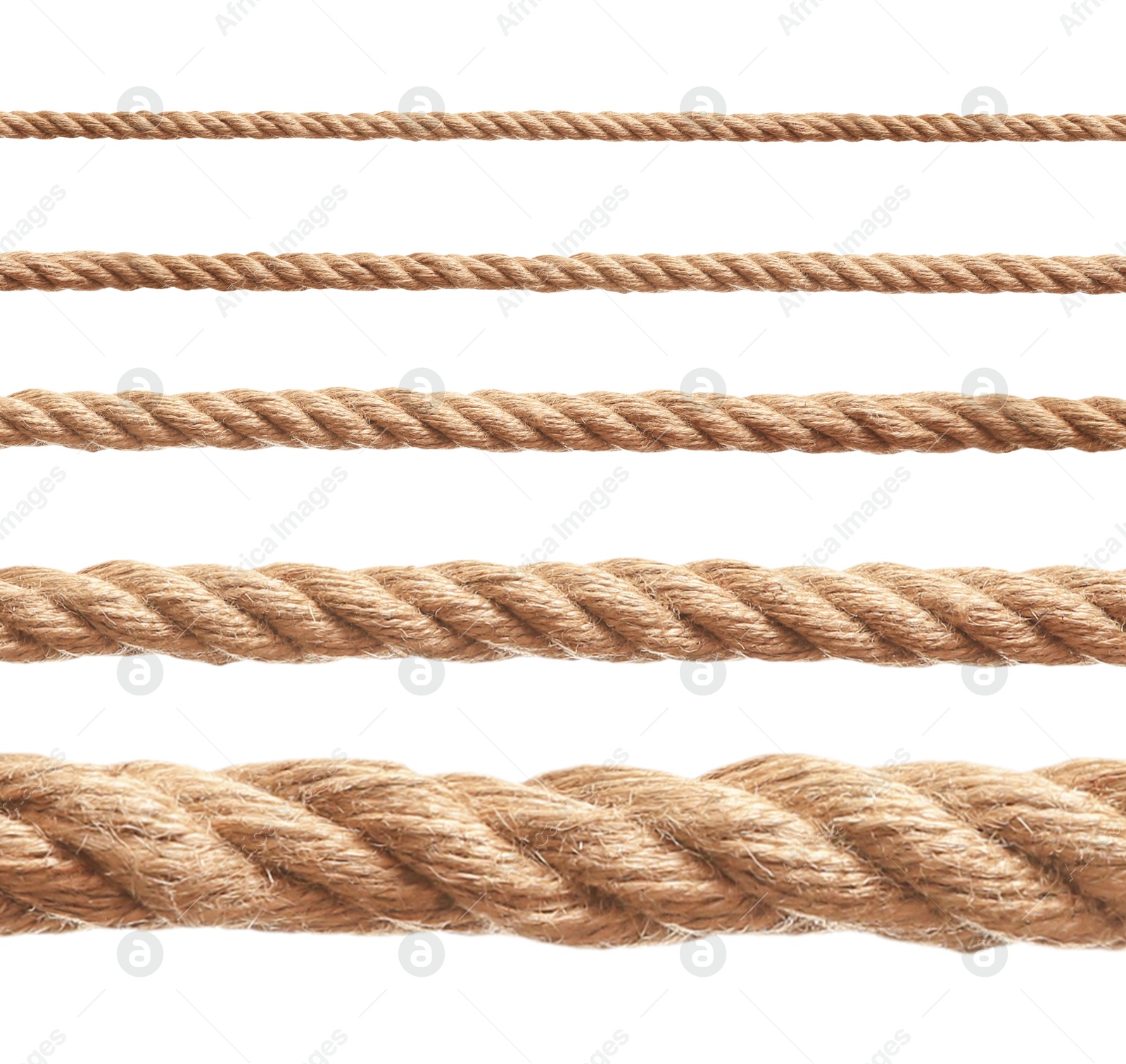 Image of Ropes of different thickness isolated on white, set