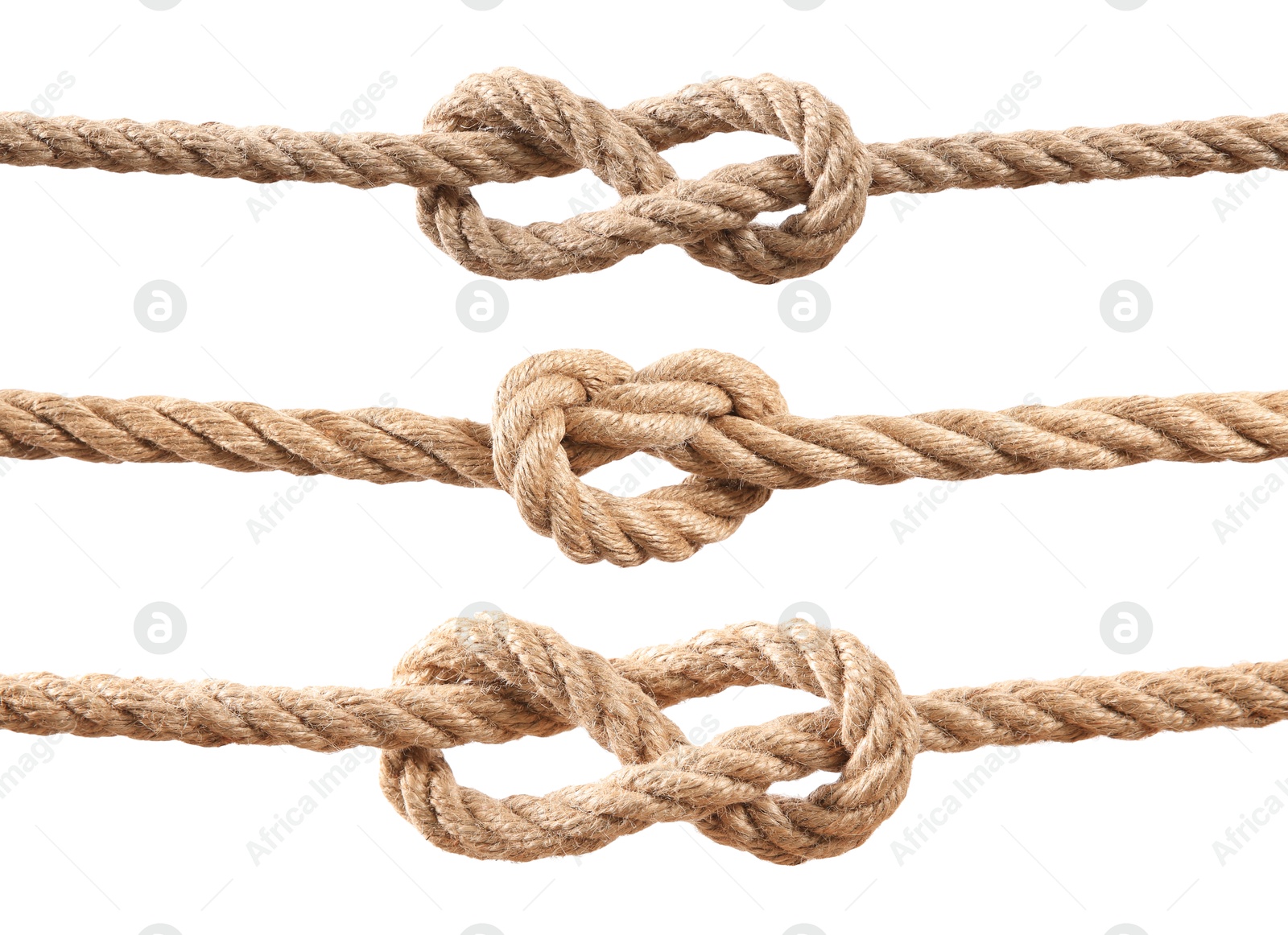 Ropes with different knots isolated on white, set Image of Ropes with different knots isolated on white, set