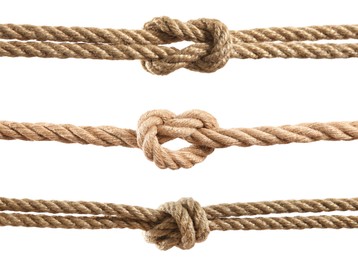 Image of Ropes with different knots isolated on white, set