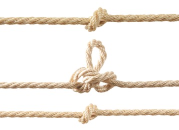 Image of Ropes with different knots isolated on white, set