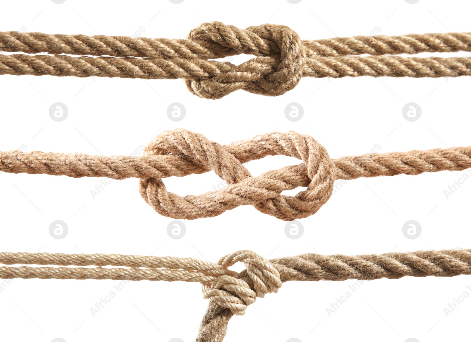 Image of Ropes with different knots isolated on white, set
