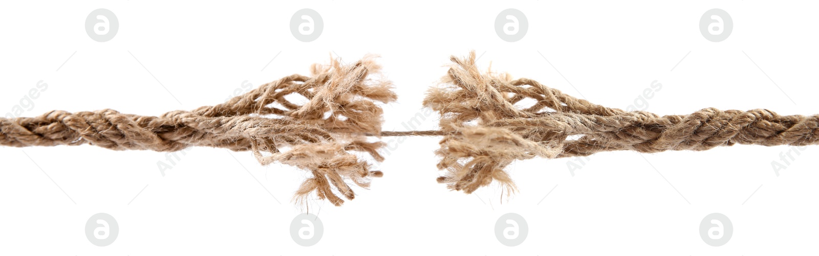 One string connecting almost torn rope on white background Image of One string connecting almost torn rope on white background