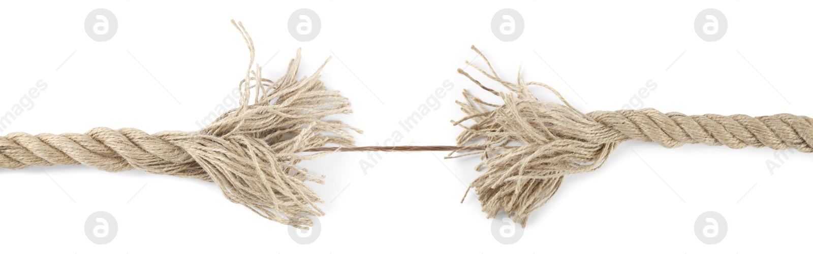 One string connecting almost torn rope on white background Image of One string connecting almost torn rope on white background