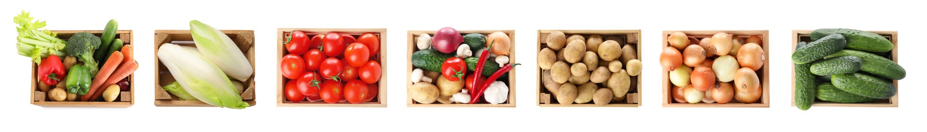 Image of Different fresh vegetables in wooden crates on white background, set. Top view
