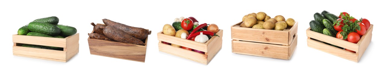 Image of Different fresh vegetables in wooden crates on white background, set