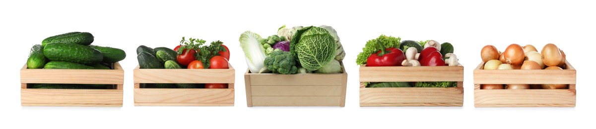 Image of Different fresh vegetables in wooden crates on white background, set