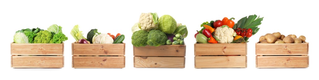 Image of Different fresh vegetables in wooden crates on white background, set