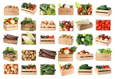 Image of Different fresh vegetables in wooden crates on white background, collage