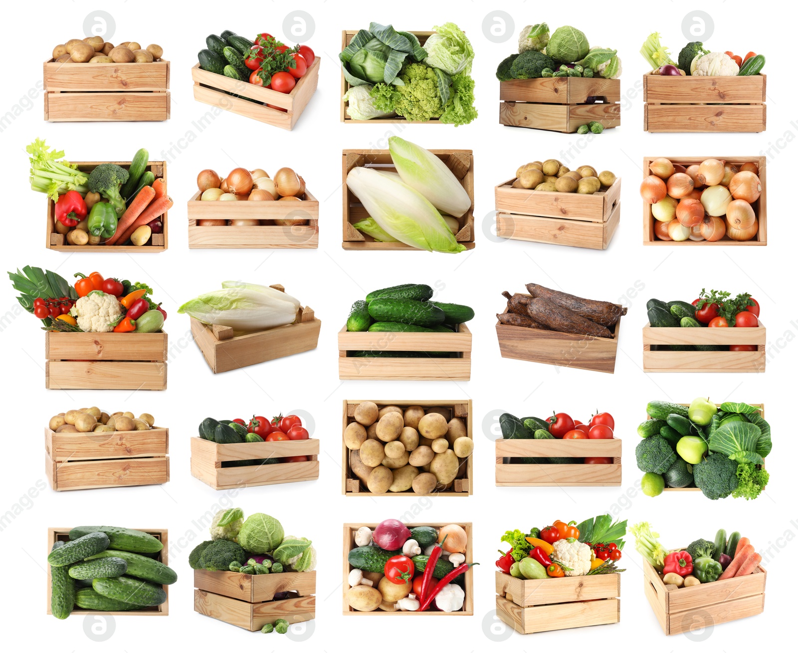 Different fresh vegetables in wooden crates on white background, collage Image of Different fresh vegetables in wooden crates on white background, collage