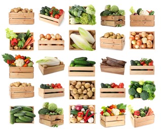 Image of Different fresh vegetables in wooden crates on white background, collage