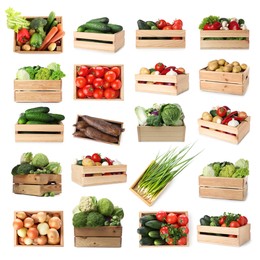 Image of Different fresh vegetables in wooden crates on white background, collage
