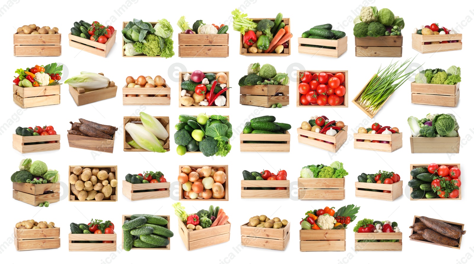 Different fresh vegetables in wooden crates on white background, collage Image of Different fresh vegetables in wooden crates on white background, collage