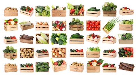 Image of Different fresh vegetables in wooden crates on white background, collage