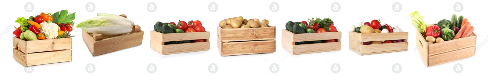 Different fresh vegetables in wooden crates on white background, set Image of Different fresh vegetables in wooden crates on white background, set