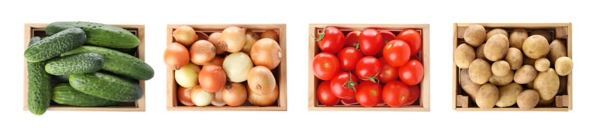 Image of Different fresh vegetables in wooden crates on white background, set. Top view