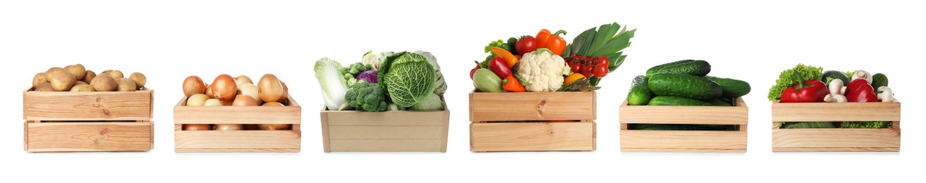 Image of Different fresh vegetables in wooden crates on white background, set