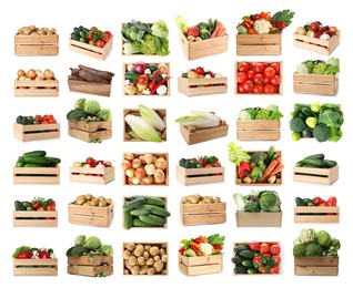 Image of Different fresh vegetables in wooden crates on white background, collage