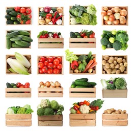 Image of Different fresh vegetables in wooden crates on white background, collage