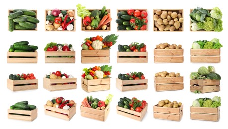 Image of Different fresh vegetables in wooden crates on white background, collage. View from different sides