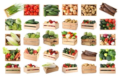 Image of Different fresh vegetables in wooden crates on white background, collage
