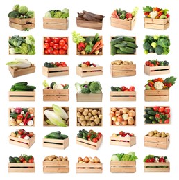 Image of Different fresh vegetables in wooden crates on white background, collage