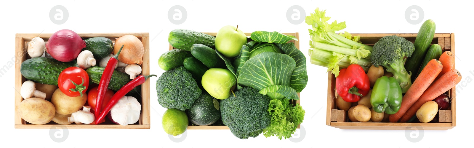 Different fresh vegetables in wooden crates on white background, set. Top view Image of Different fresh vegetables in wooden crates on white background, set. Top view