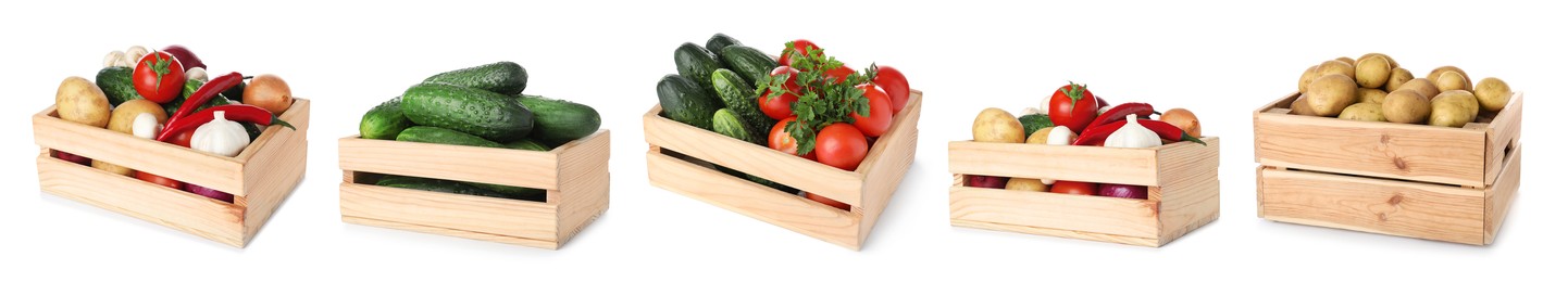 Image of Different fresh vegetables in wooden crates on white background, set